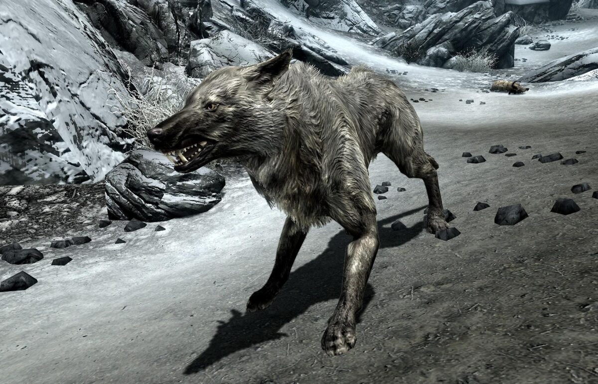 Skyrim wolf
